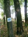 szate 2011.09.17 (110)